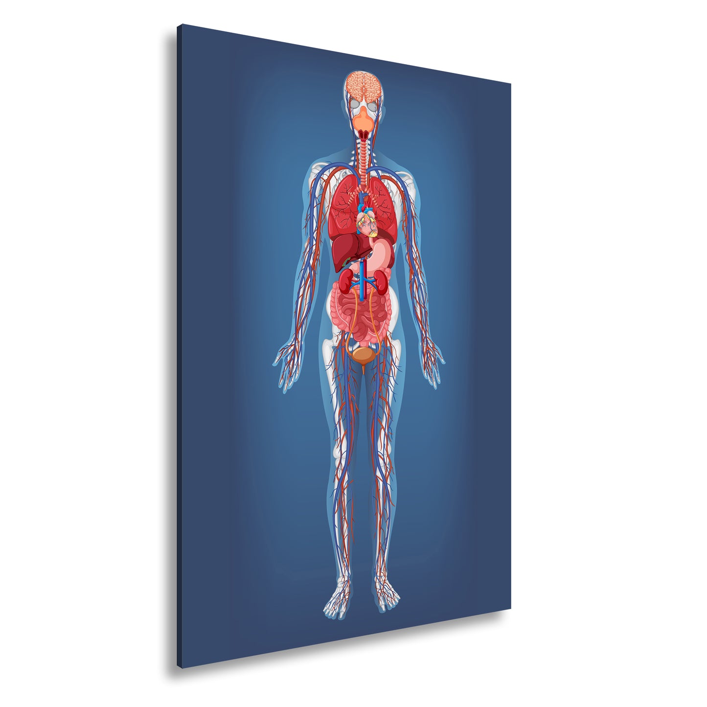 Hauptbild Farbig Standart