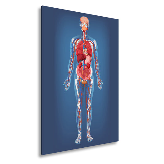 Hauptbild Farbig Standart