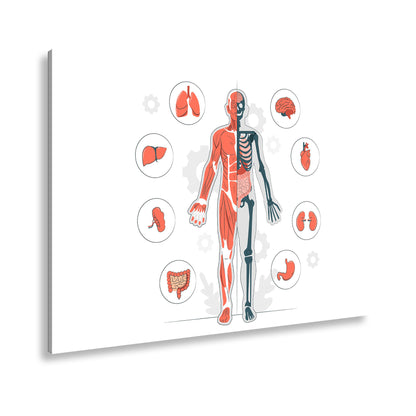 Hauptbild Farbig Standart