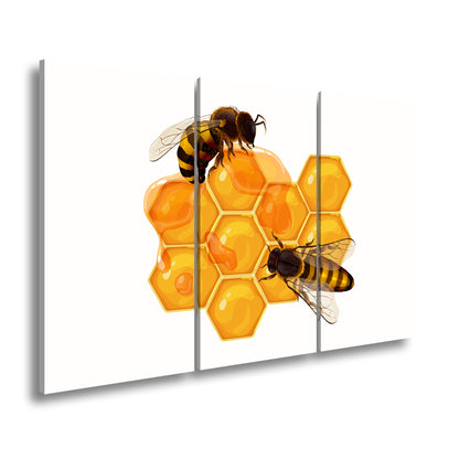 Hauptbild Farbig 3 Teilig