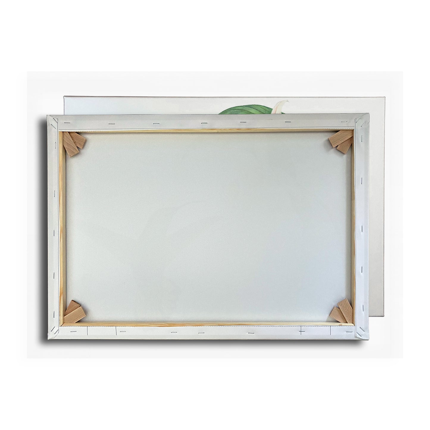 Vorschaubild Rückwand