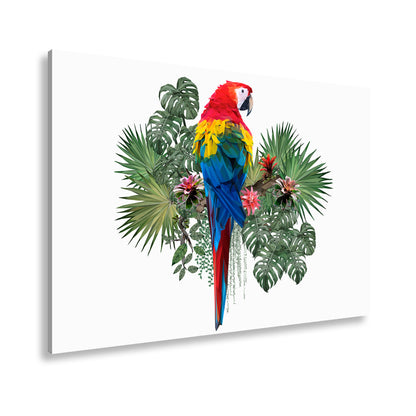 Hauptbild Farbig Standart