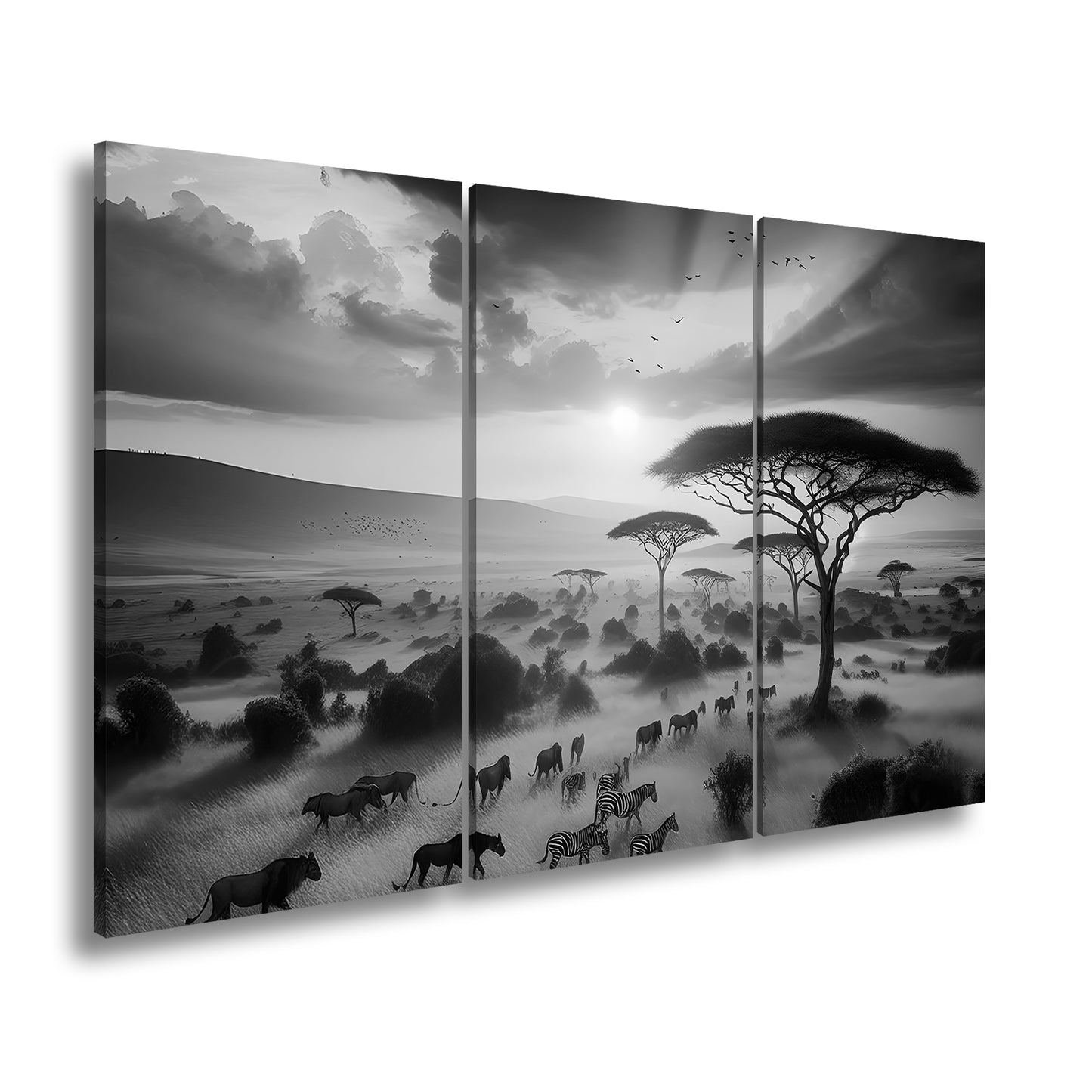 Hauptbild Schwarz & Weiß 3 Teilig