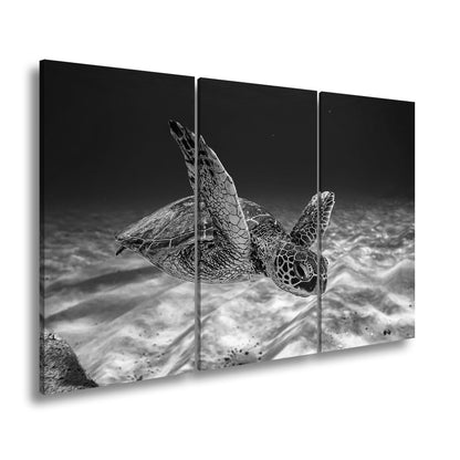 Hauptbild Schwarz & Weiß 3 Teilig