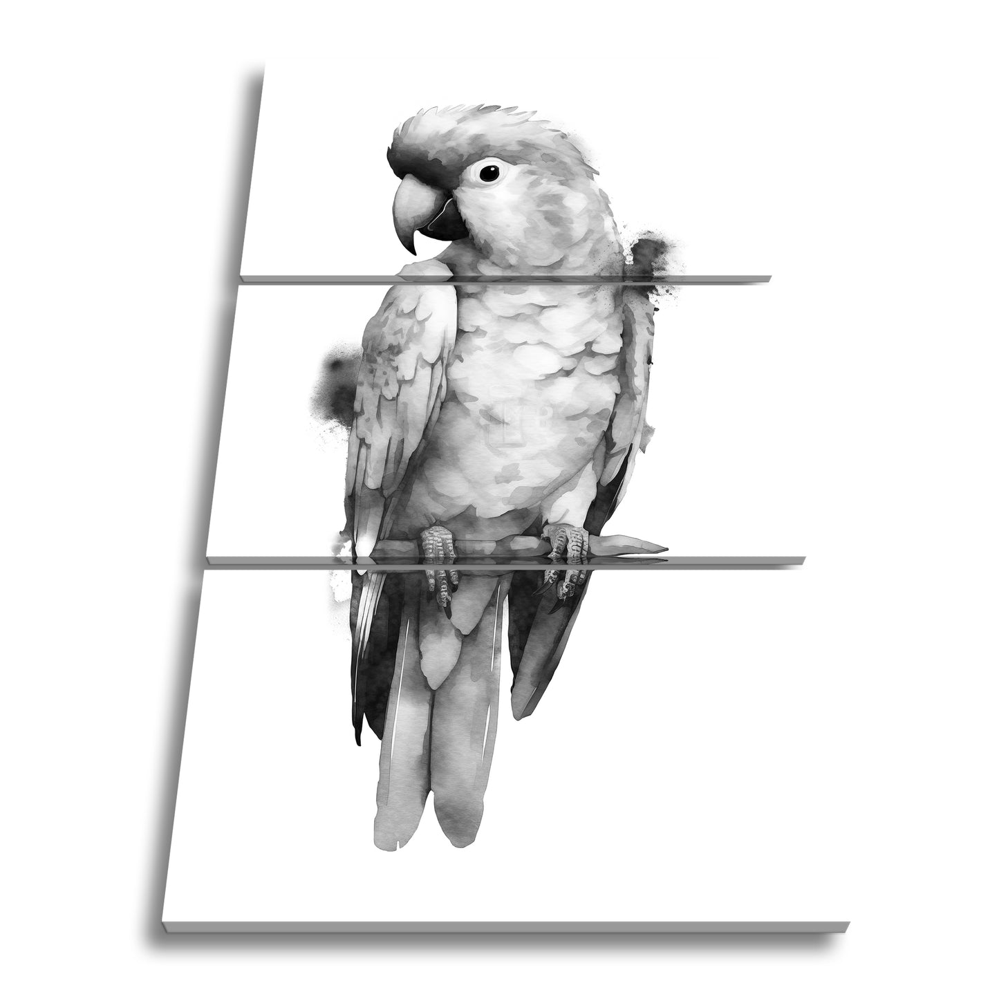 Hauptbild Schwarz & Weiß 3 Teilig