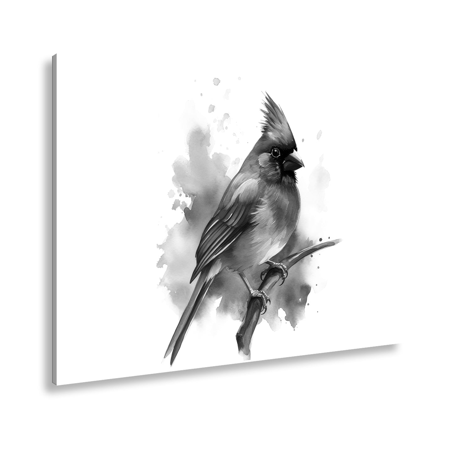 Hauptbild Schwarz & Weiß Standart