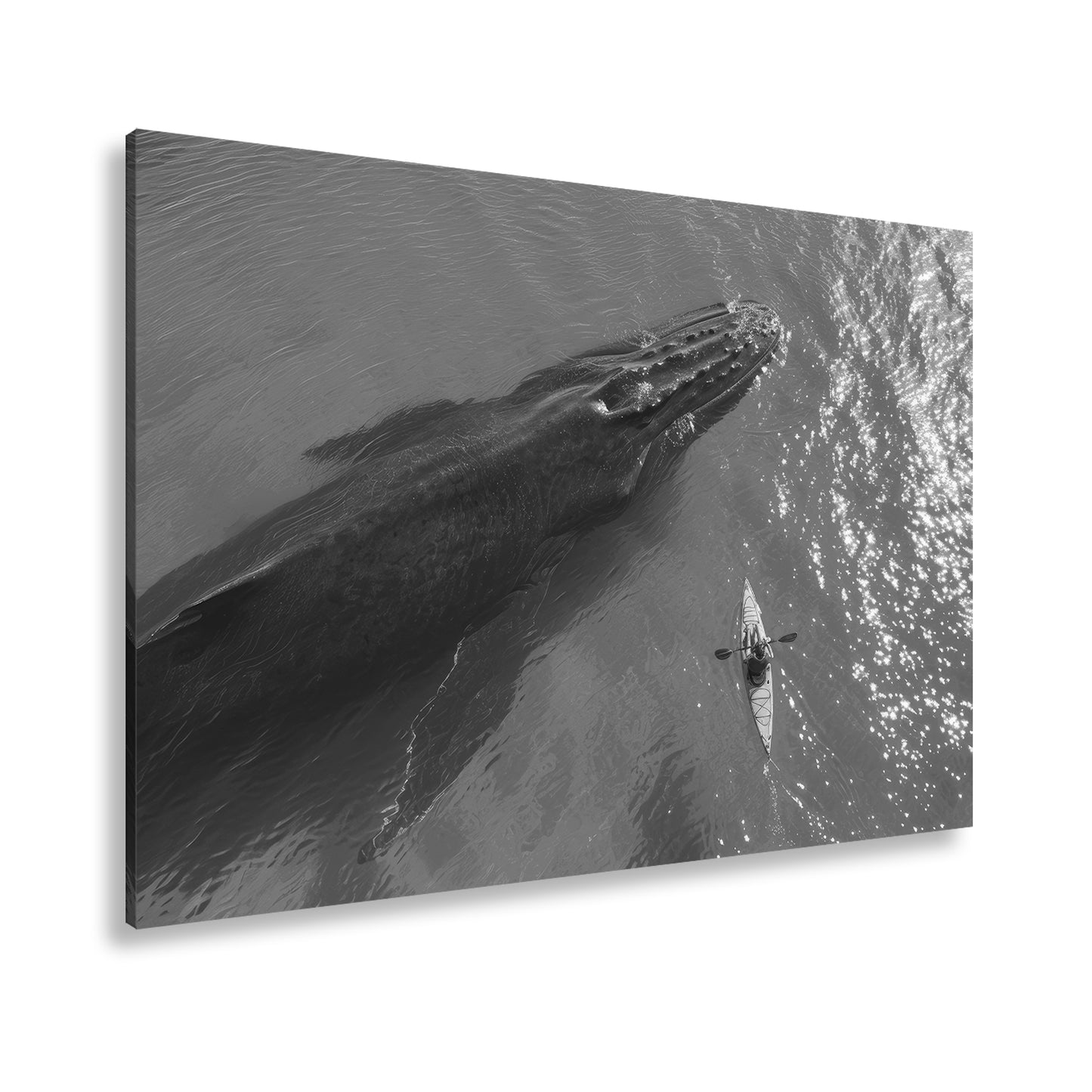 Hauptbild Schwarz & Weiß Standart