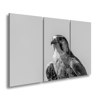 Hauptbild Schwarz & Weiß 3 Teilig