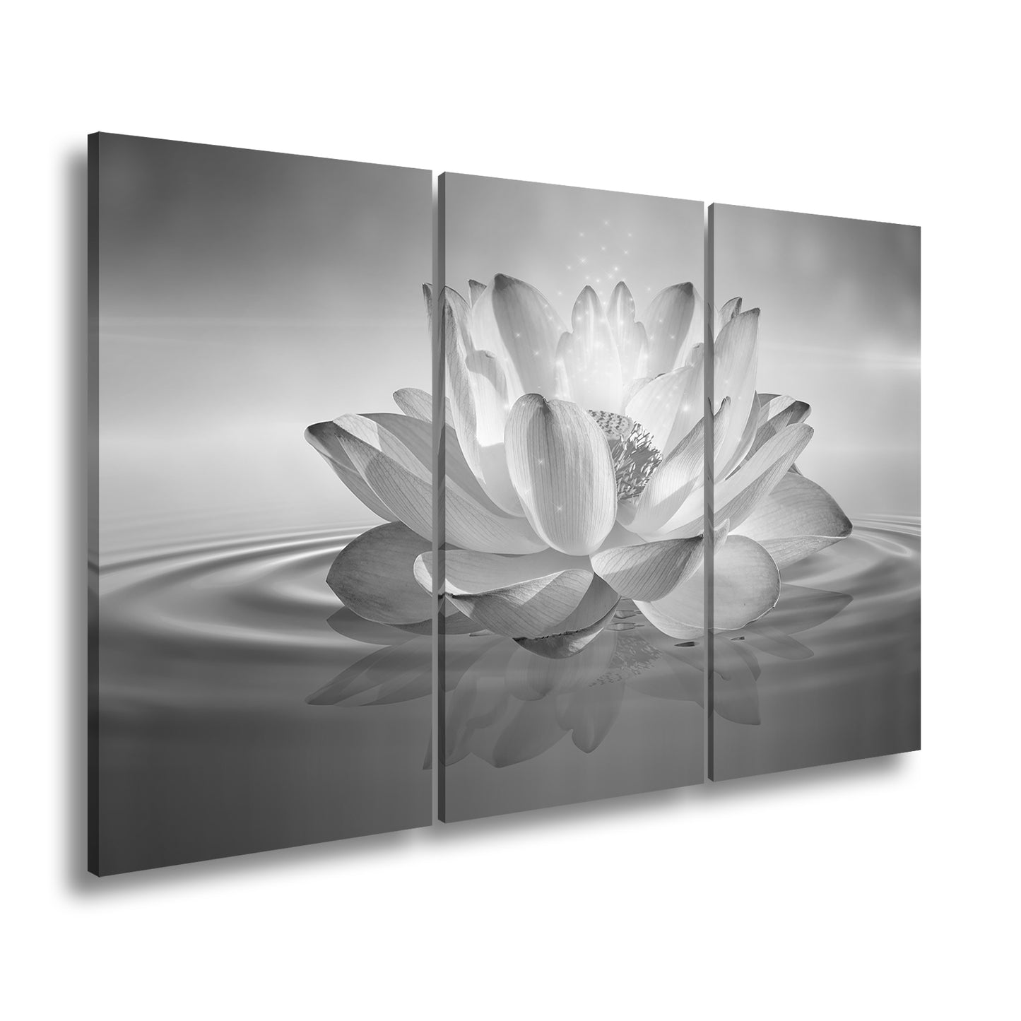 Hauptbild Schwarz & Weiß 3 Teilig