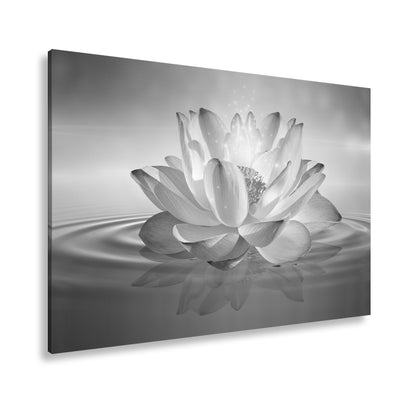 Hauptbild Schwarz & Weiß Standart