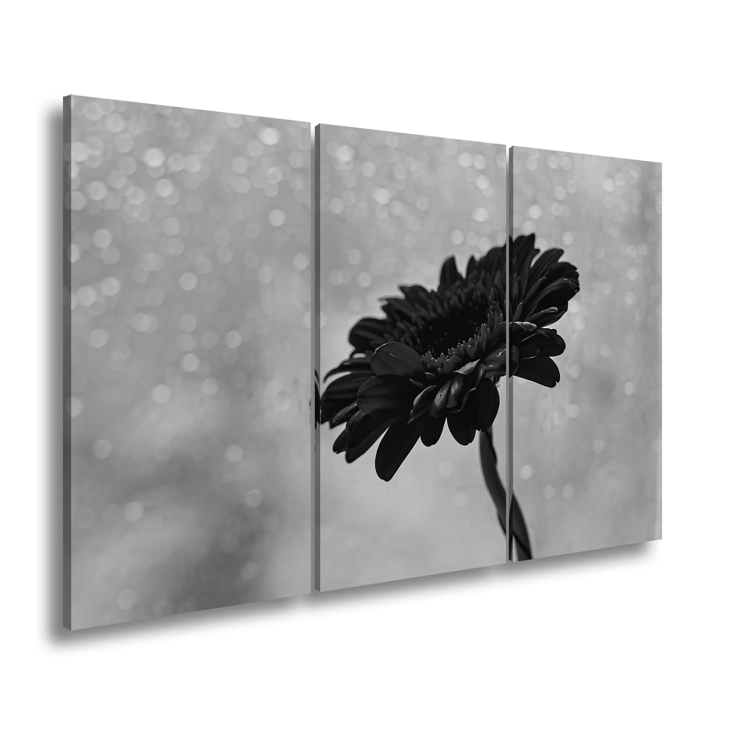 Hauptbild Schwarz & Weiß 3 Teilig