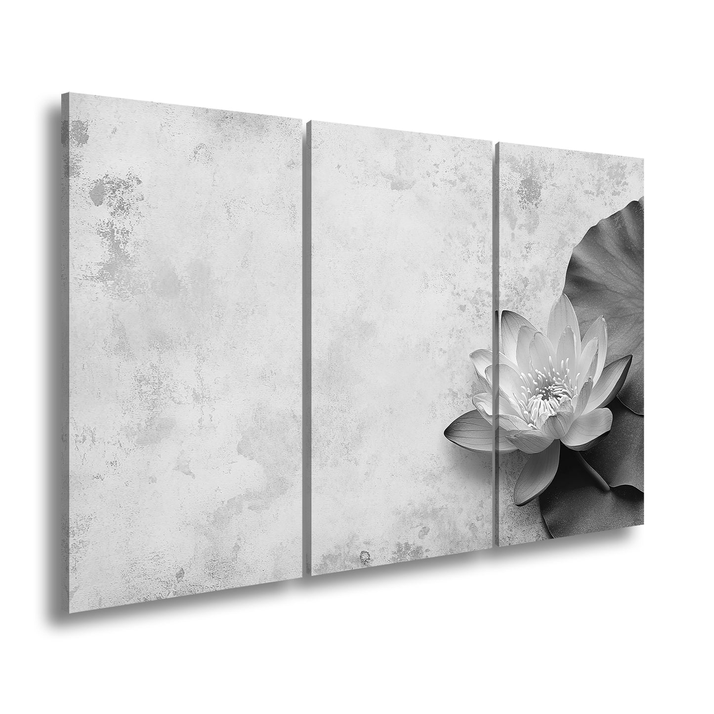 Hauptbild Schwarz & Weiß 3 Teilig