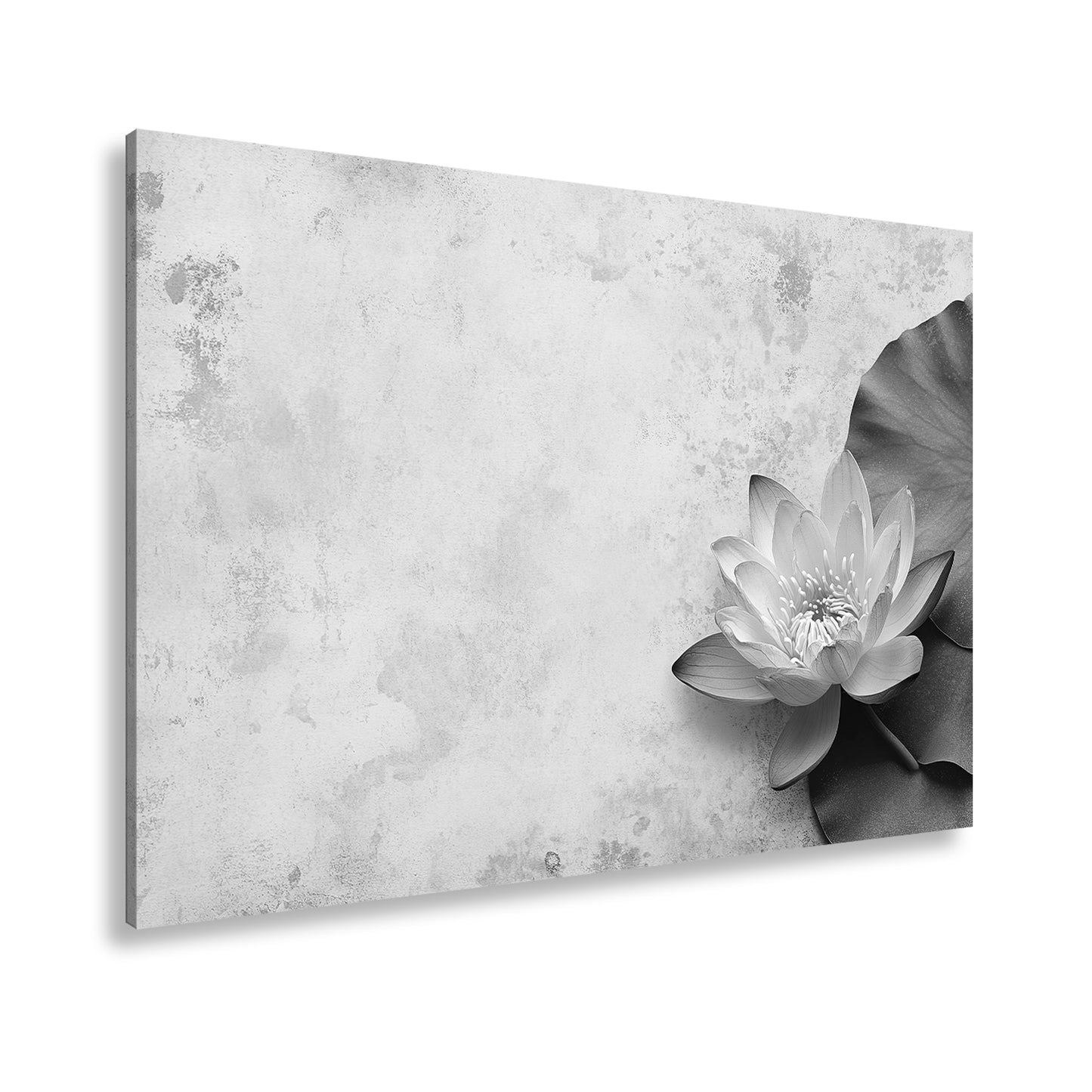 Hauptbild Schwarz & Weiß Standart