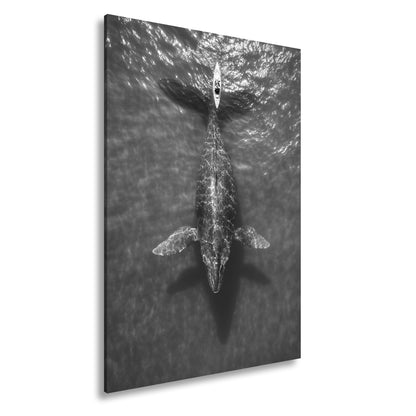 Hauptbild Schwarz & Weiß Standart