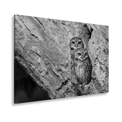 Hauptbild Schwarz & Weiß Standart