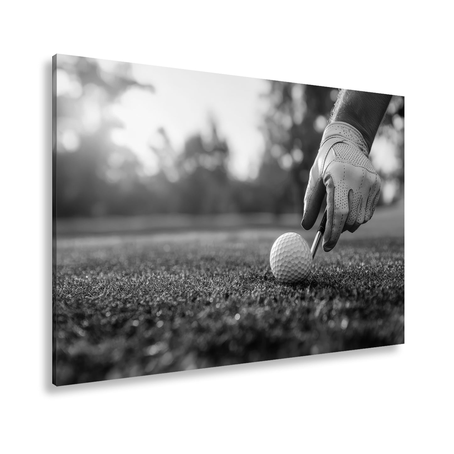 Hauptbild Schwarz & Weiß Standart