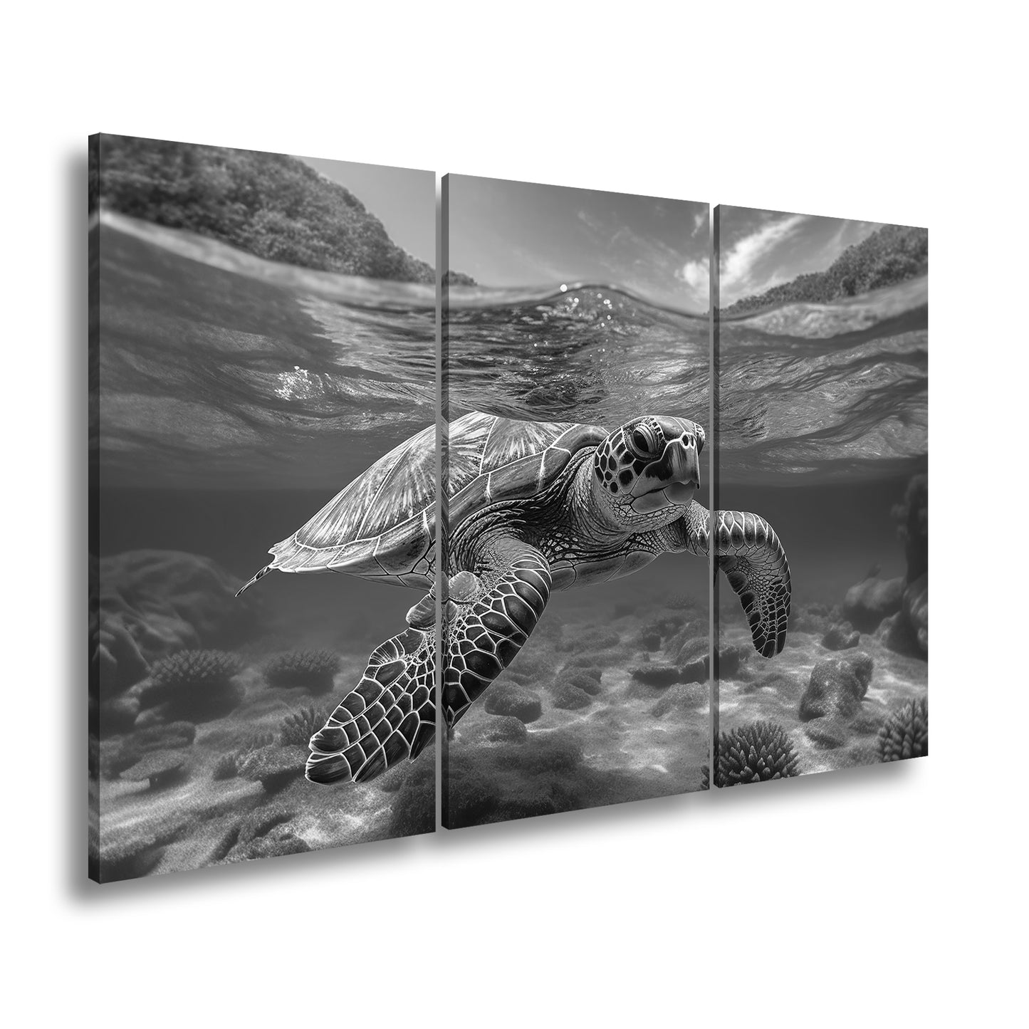 Hauptbild Schwarz & Weiß 3 Teilig