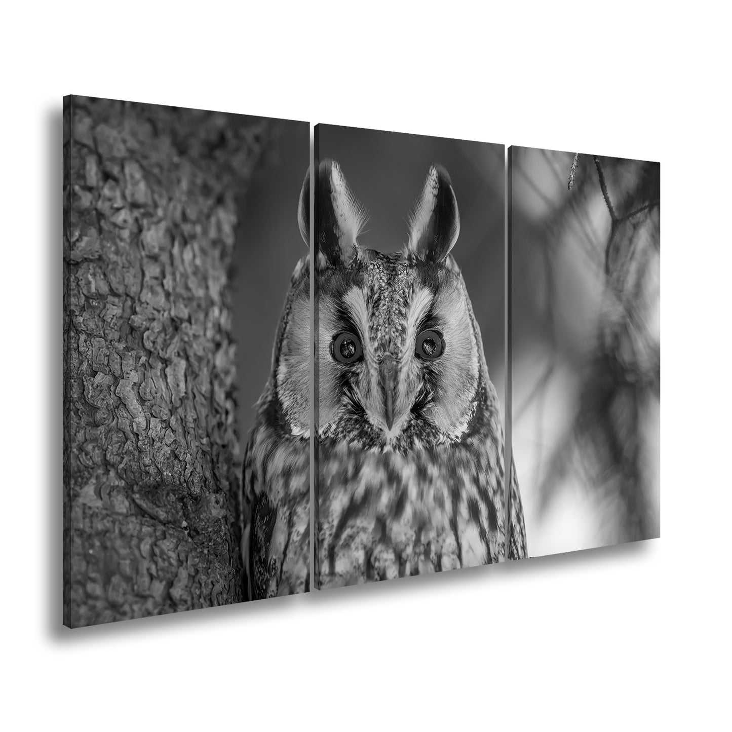 Hauptbild Schwarz & Weiß 3 Teilig