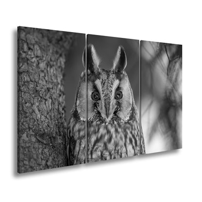 Hauptbild Schwarz & Weiß 3 Teilig