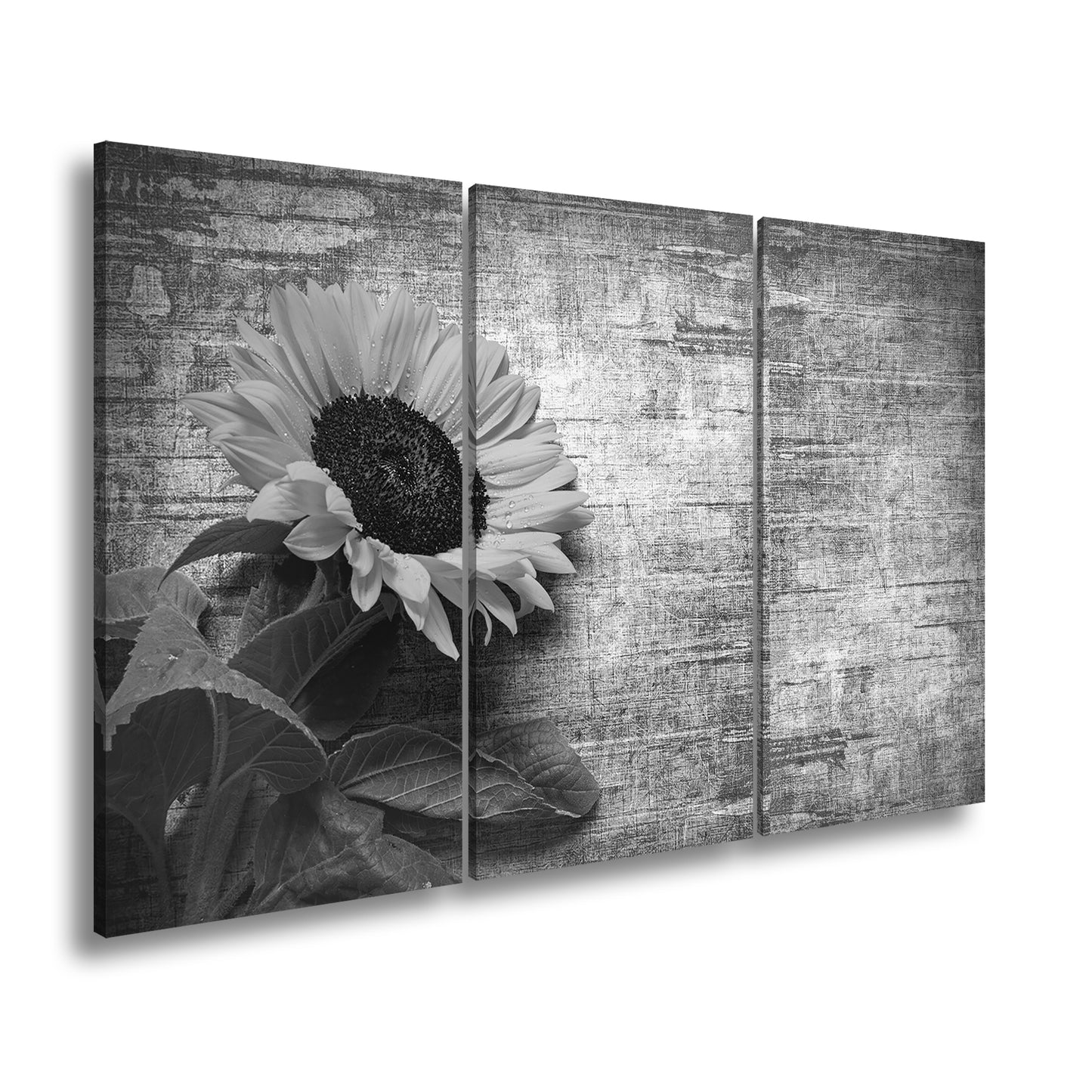 Hauptbild Schwarz & Weiß 3 Teilig