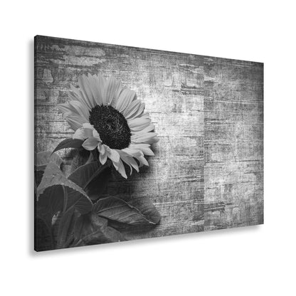 Hauptbild Schwarz & Weiß Standart