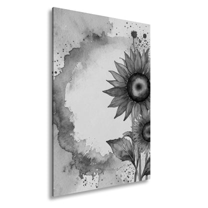 Hauptbild Schwarz & Weiß Standart