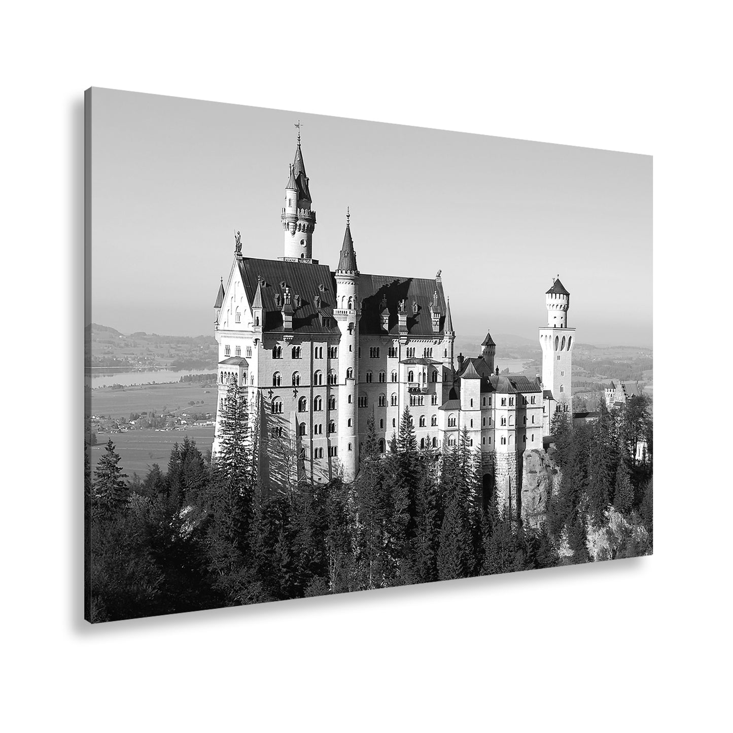 Hauptbild Schwarz & Weiß Standart