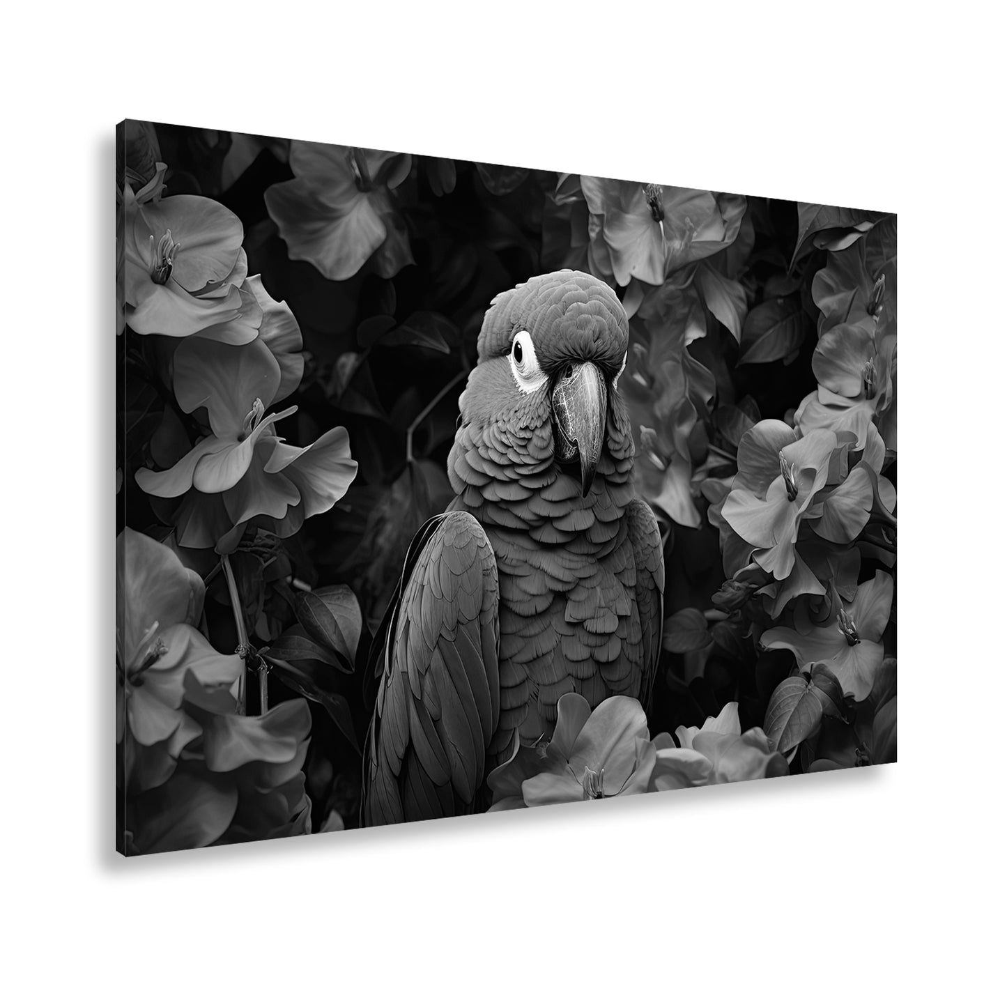 Hauptbild Schwarz & Weiß Standart