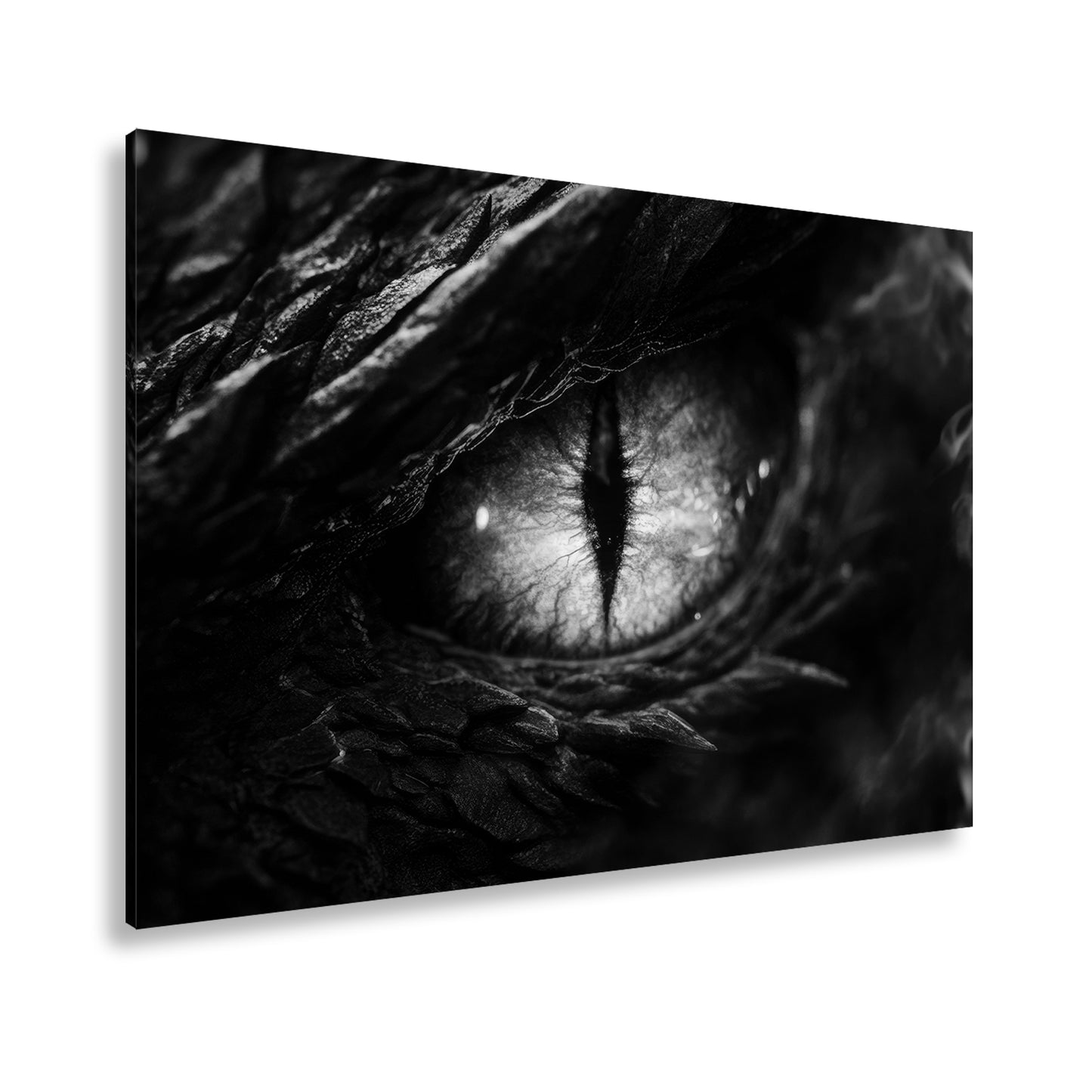 Hauptbild Schwarz & Weiß Standart