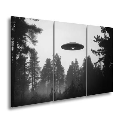 Hauptbild Schwarz & Weiß 3 Teilig