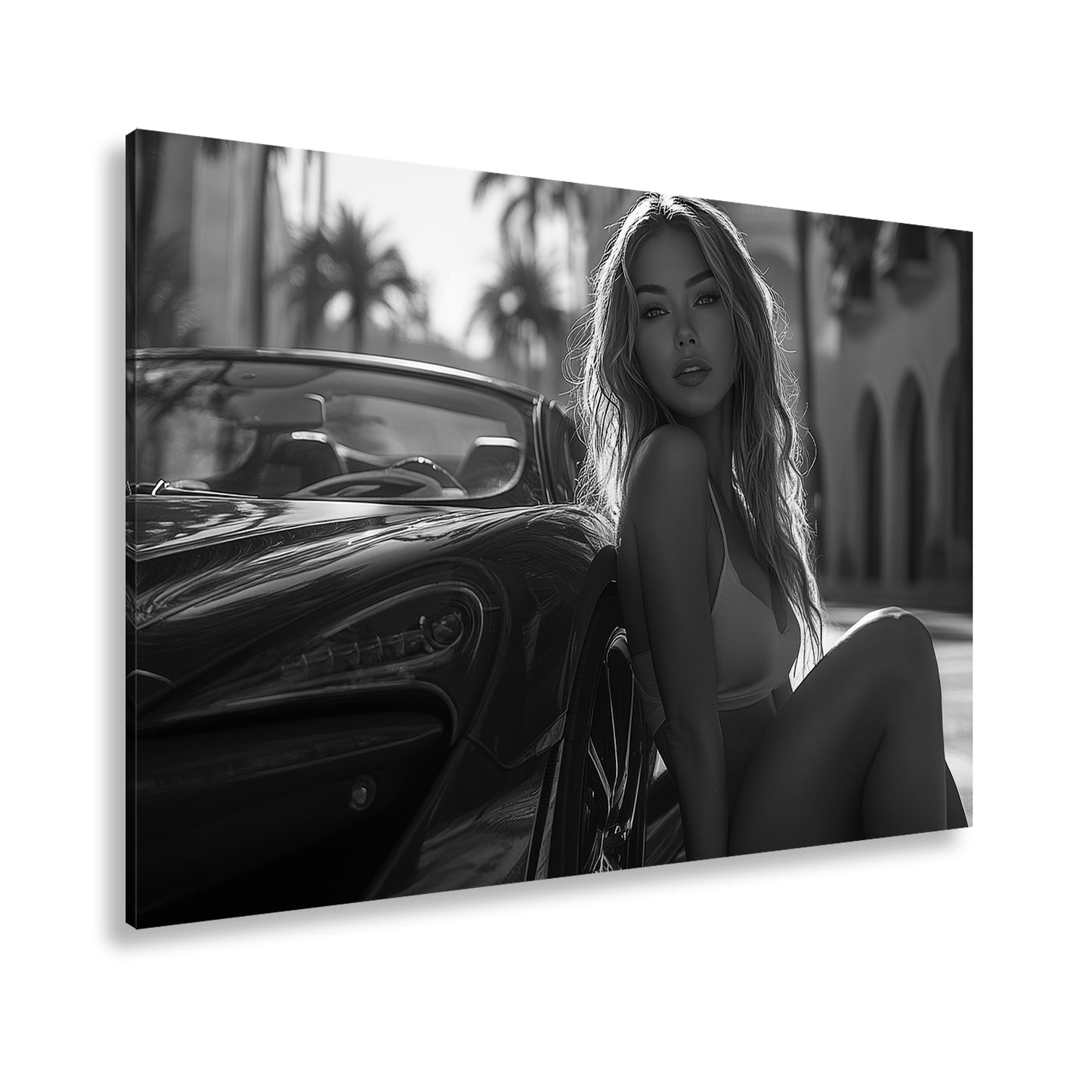 Hauptbild Schwarz & Weiß Standart