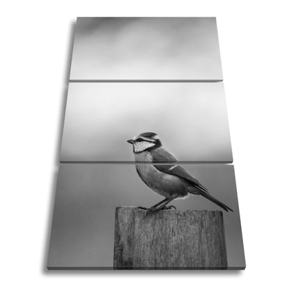 Hauptbild Schwarz & Weiß 3 Teilig