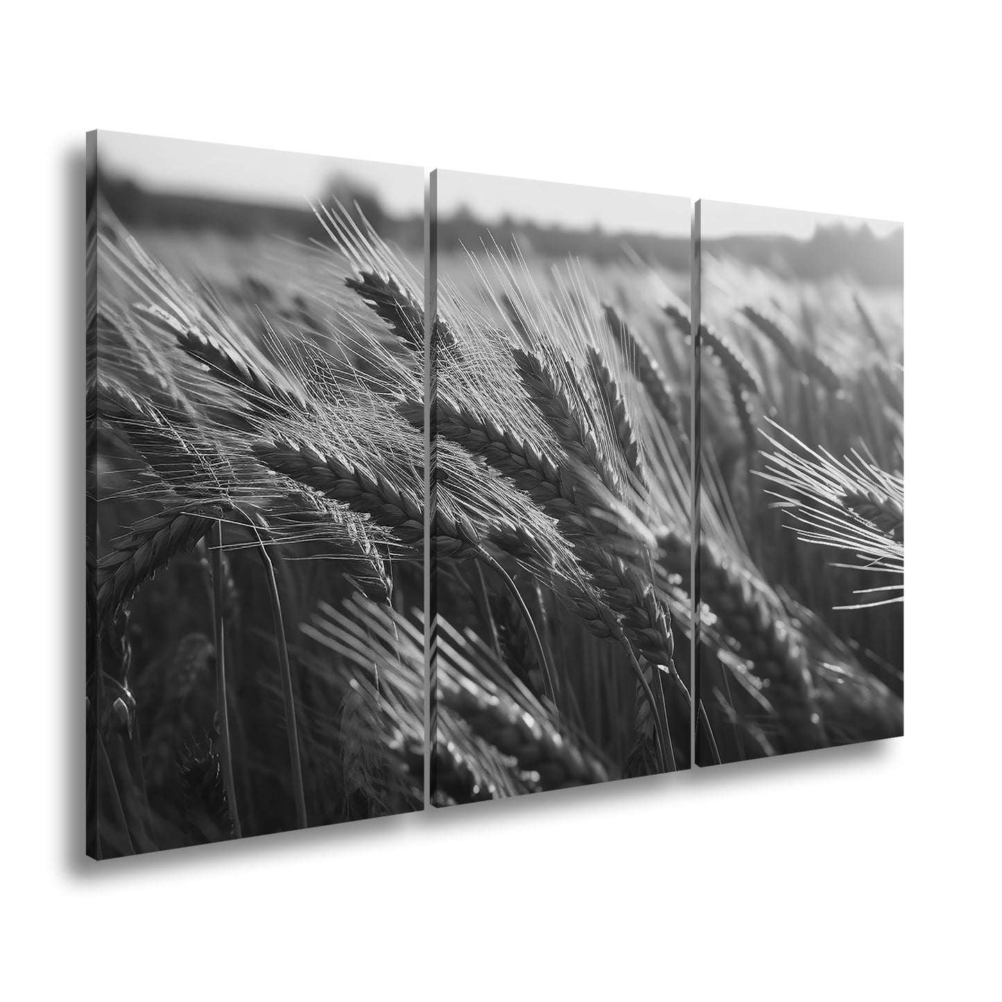 Hauptbild Schwarz & Weiß 3 Teilig