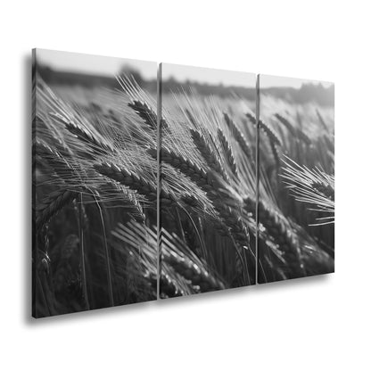 Hauptbild Schwarz & Weiß 3 Teilig