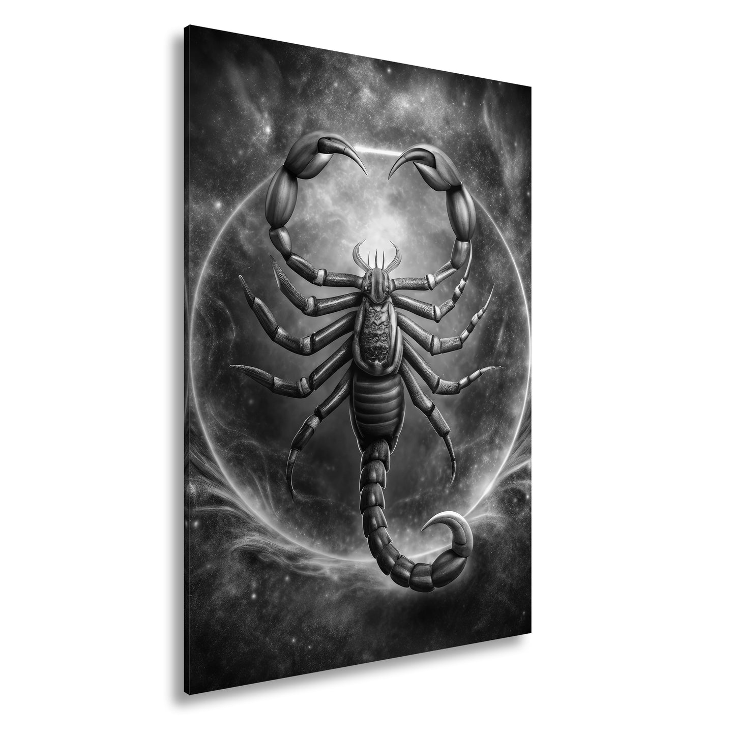 Hauptbild Schwarz & Weiß Standart