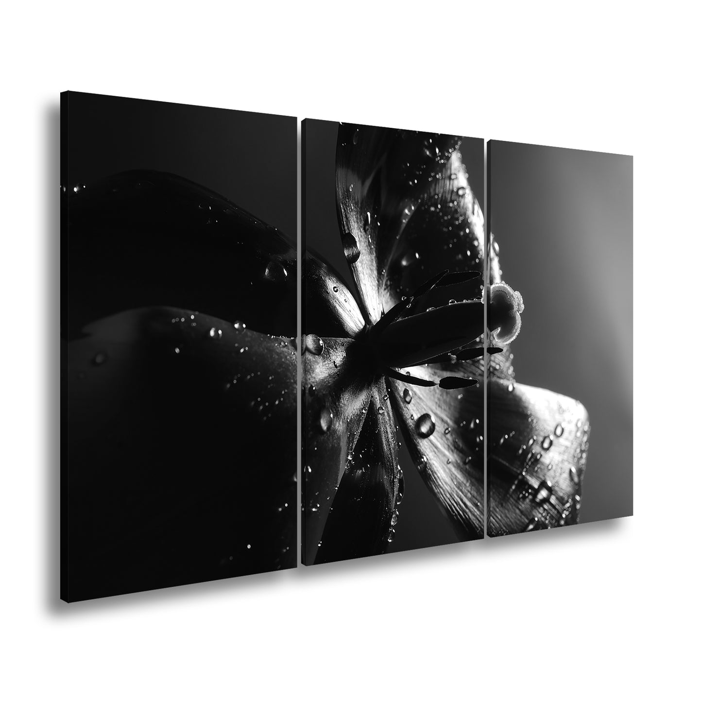 Hauptbild Schwarz & Weiß 3 Teilig