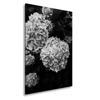 Hauptbild Schwarz & Weiß Standart