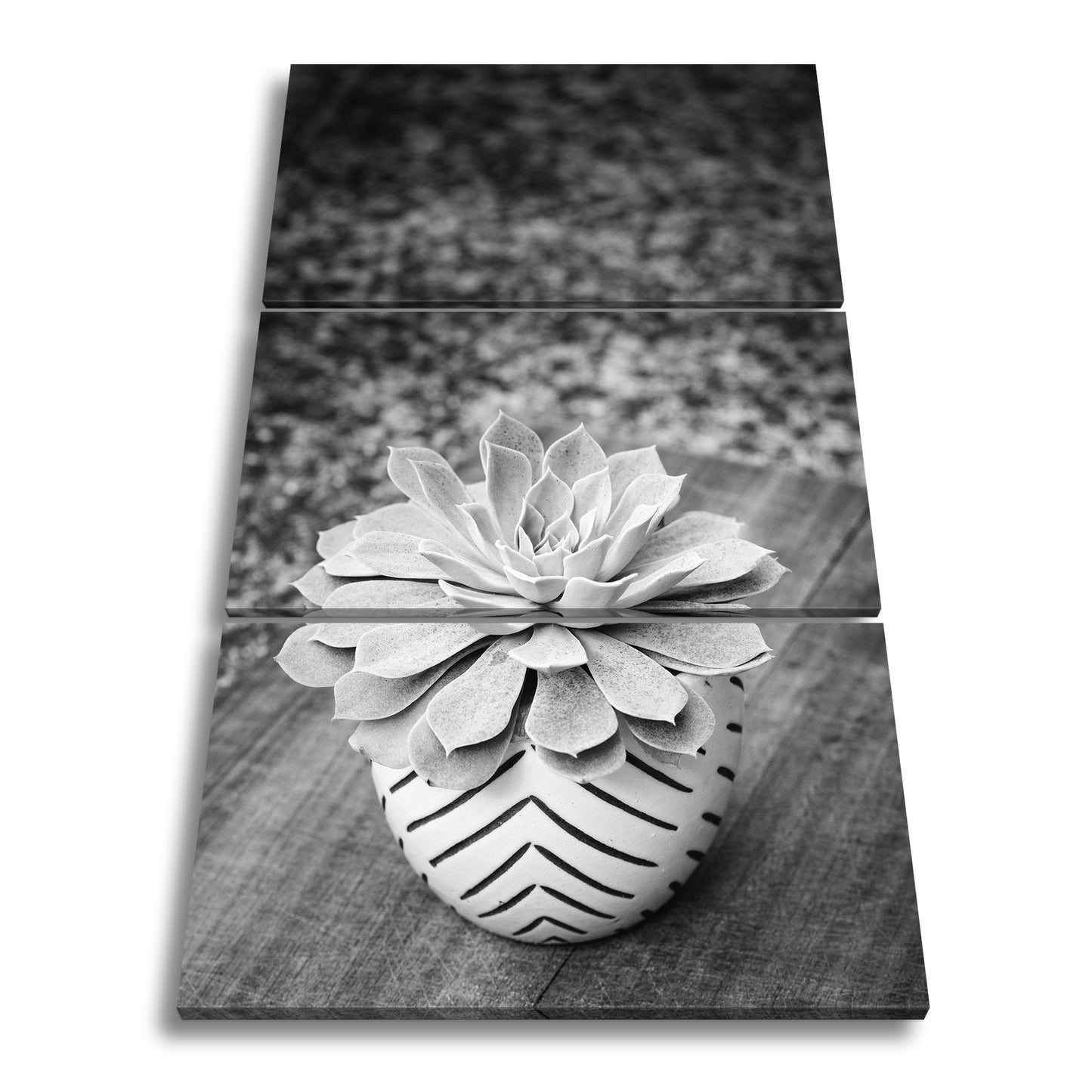 Hauptbild Schwarz & Weiß 3 Teilig