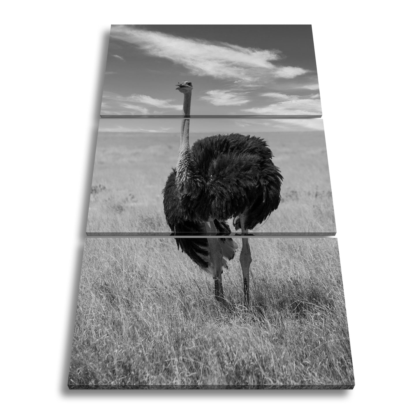 Hauptbild Schwarz & Weiß 3 Teilig