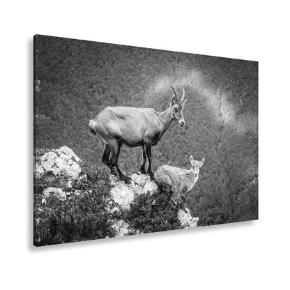 Hauptbild Schwarz & Weiß Standart