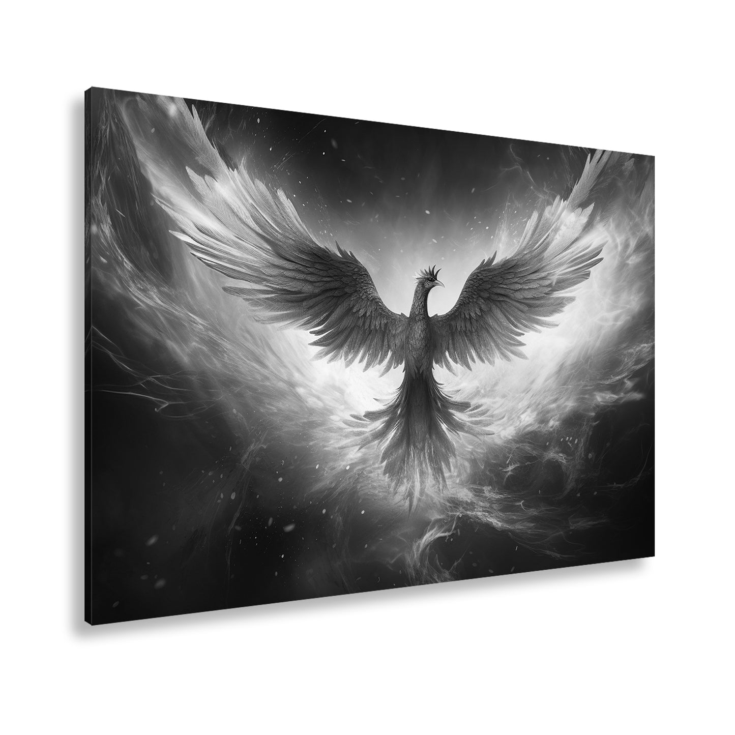 Hauptbild Schwarz & Weiß Standart