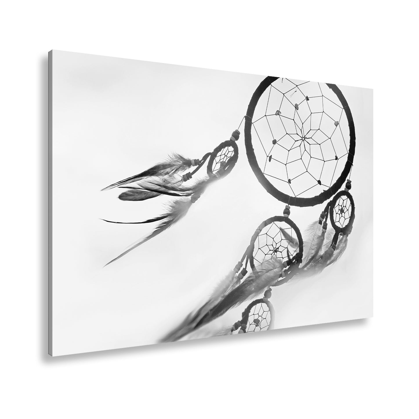 Hauptbild Schwarz & Weiß Standart