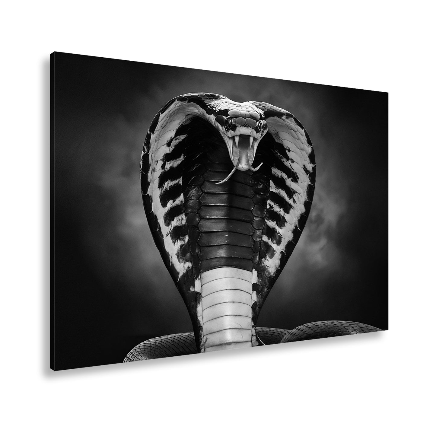 Hauptbild Schwarz & Weiß Standart