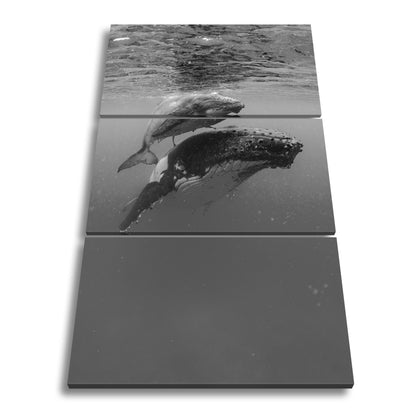 Hauptbild Schwarz & Weiß 3 Teilig