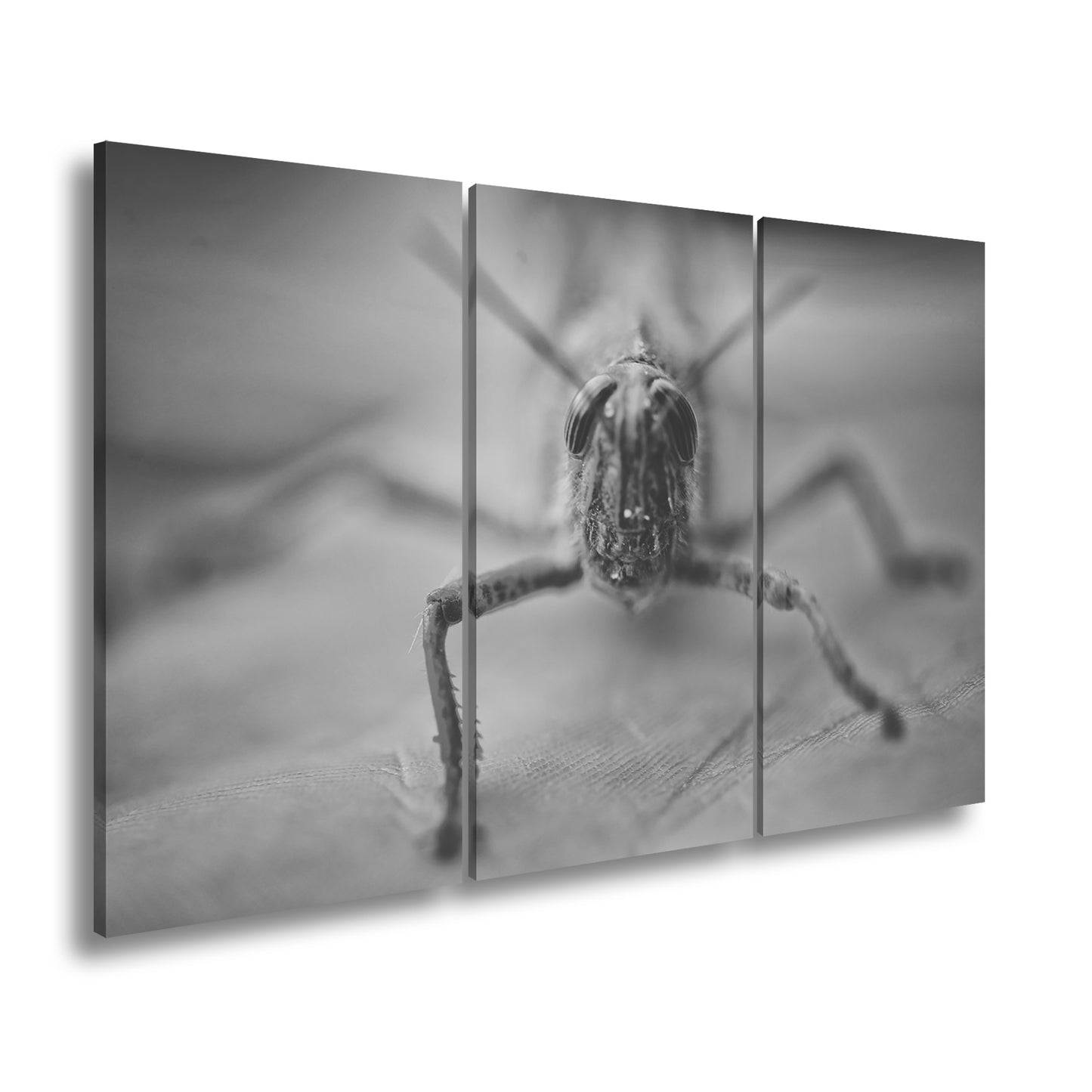 Hauptbild Schwarz & Weiß 3 Teilig