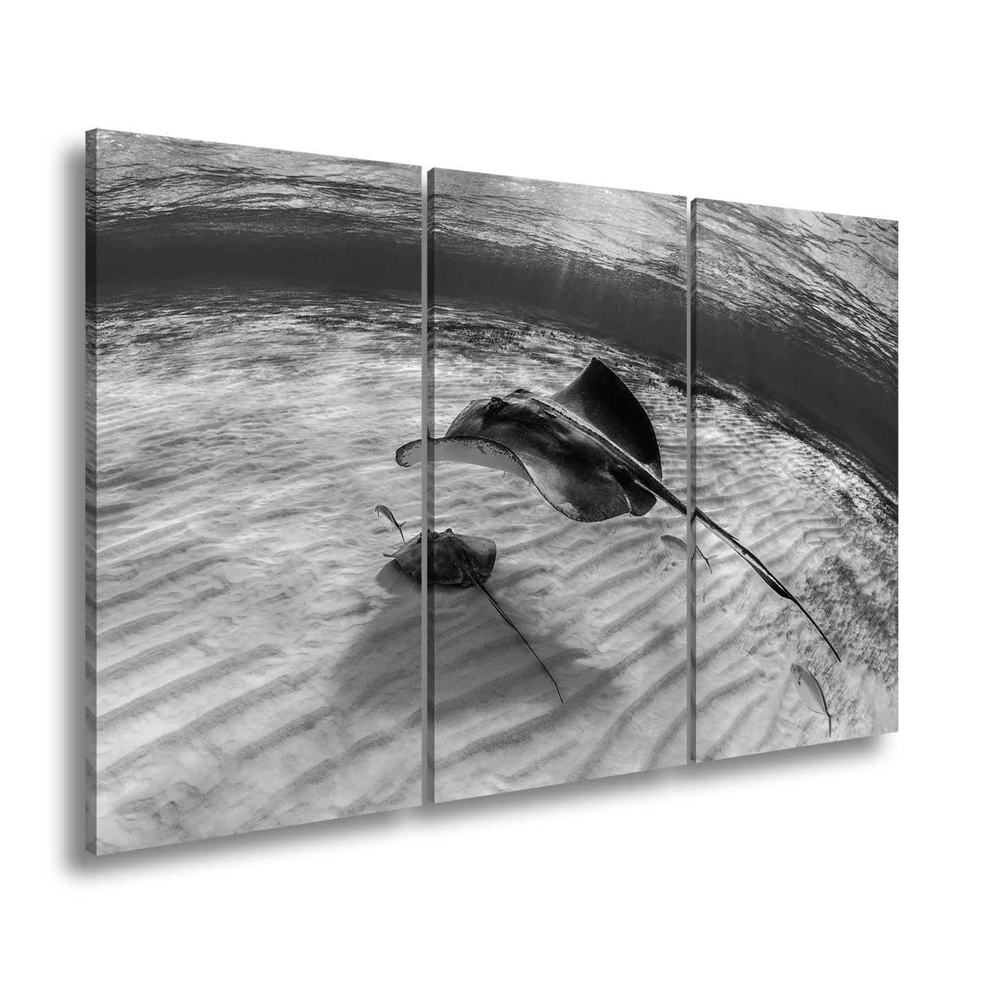 Hauptbild Schwarz & Weiß 3 Teilig