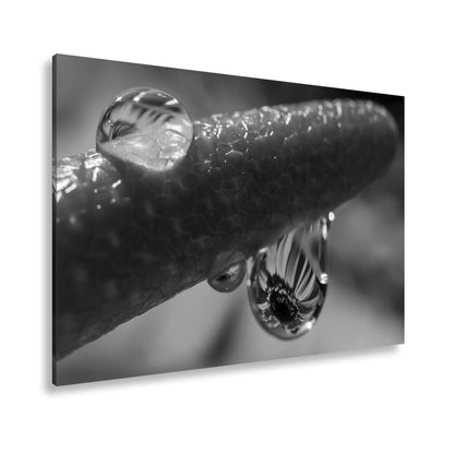 Hauptbild Schwarz & Weiß Standart