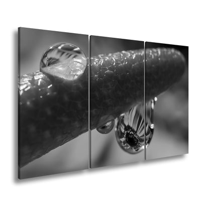 Hauptbild Schwarz & Weiß 3 Teilig