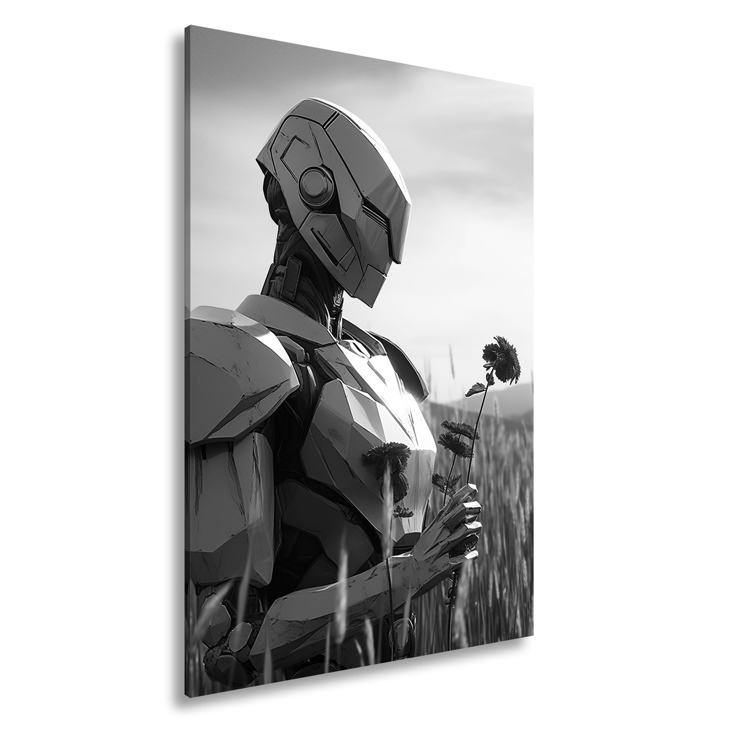 Hauptbild Schwarz & Weiß Standart