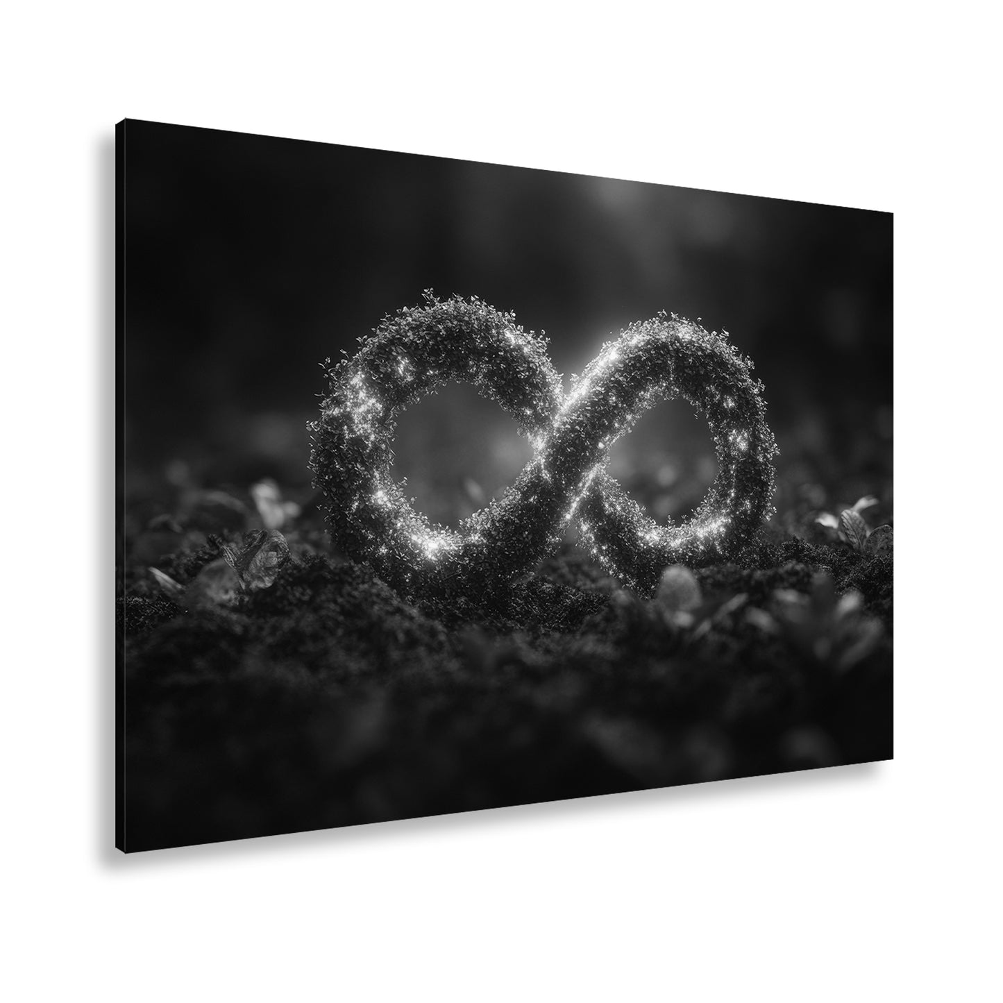 Hauptbild Schwarz & Weiß Standart